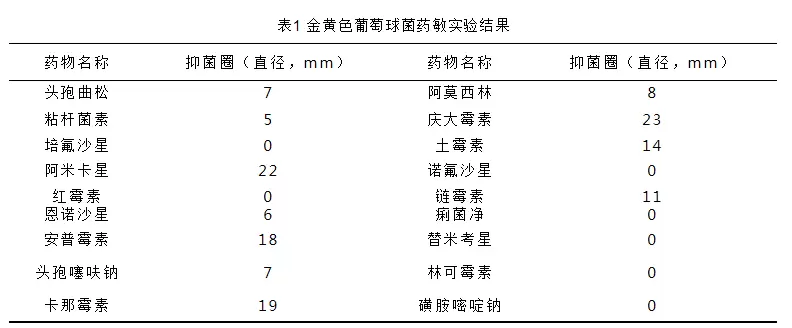 伊拉肉兔球虫继发葡萄球菌感染的诊治插图2