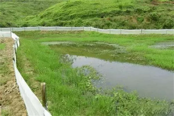 养龙虾需要什么条件 需要放多深的水合适插图2 养龙虾需要什么条件 需要放多深的水合适插图2