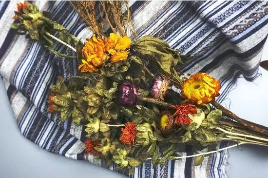 干花是什么插图1 干花是什么插图1