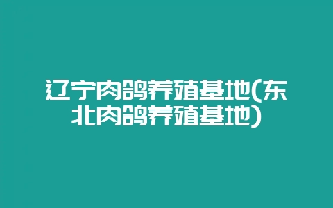 辽宁肉鸽养殖基地(东北肉鸽养殖基地)插图 辽宁肉鸽养殖基地(东北肉鸽养殖基地)插图