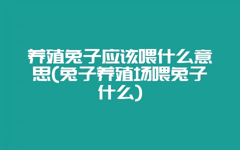 养殖兔子应该喂什么意思(兔子养殖场喂兔子什么)-会东网