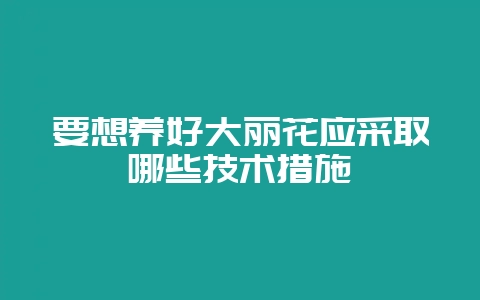 要想养好大丽花应采取哪些技术措施-会东网
