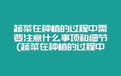 蔬菜在种植的过程中需要注意什么事项和细节(蔬菜在种植的过程中需要注意什么事项和细节描写)-会东网