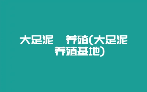 大足泥鳅养殖(大足泥鳅养殖基地)-会东网
