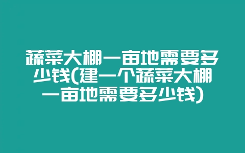 蔬菜大棚一亩地需要多少钱(建一个蔬菜大棚一亩地需要多少钱)-会东网