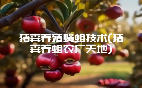 猪粪养殖蝇蛆技术(猪粪养蛆农广天地)-会东网