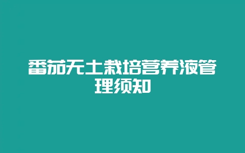 番茄无土栽培营养液管理须知-会东网