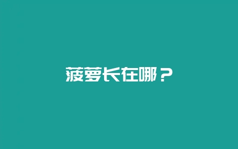 菠萝长在哪？-会东网