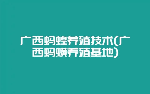 广西蚂蝗养殖技术(广西蚂蟥养殖基地)插图 广西蚂蝗养殖技术(广西蚂蟥养殖基地)插图