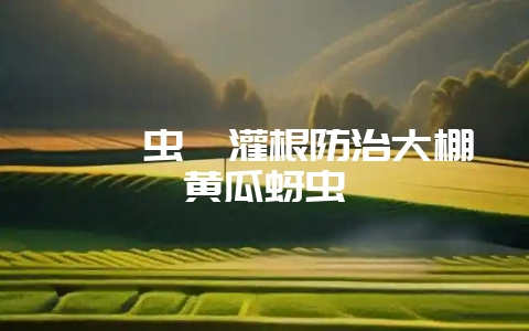 烯啶虫胺灌根防治大棚黄瓜蚜虫-会东网