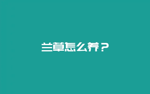 兰草怎么养？-会东网