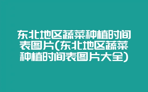 东北地区蔬菜种植时间表图片(东北地区蔬菜种植时间表图片大全)-会东网