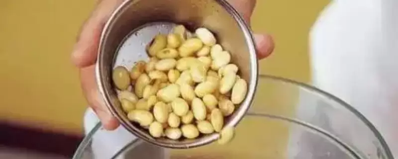 豆腐水可以浇花吗-会东网