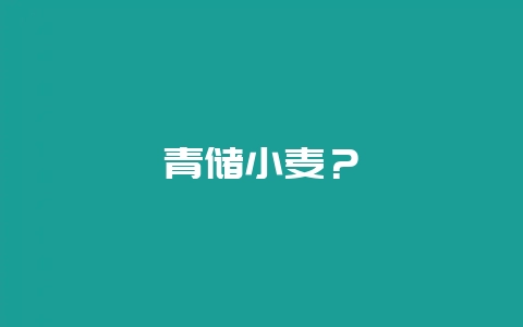 青储小麦？-会东网