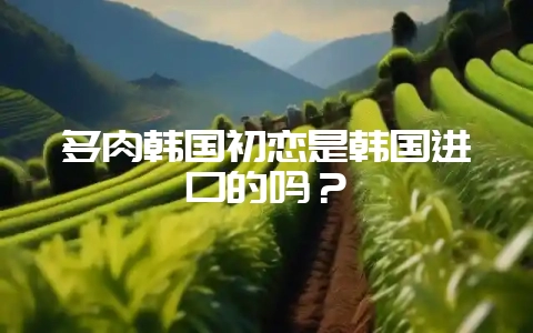 多肉韩国初恋是韩国进口的吗？插图