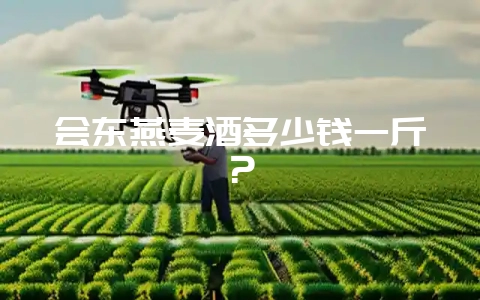 会东燕麦酒多少钱一斤？-会东网