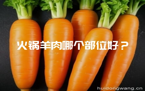 火锅羊肉哪个部位好？-会东网