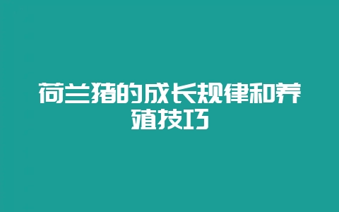 荷兰猪的成长规律和养殖技巧-会东网