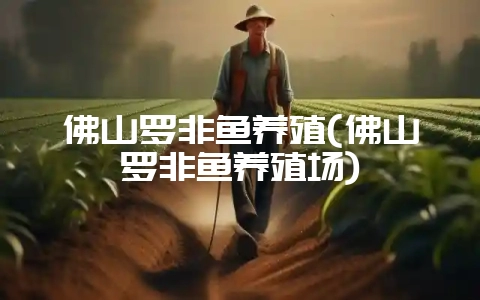 佛山罗非鱼养殖(佛山罗非鱼养殖场)-会东网