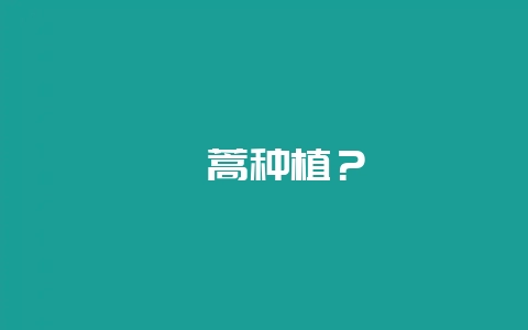 茼蒿种植？-会东网