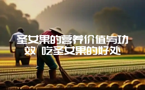 圣女果的营养价值与功效 吃圣女果的好处-会东网