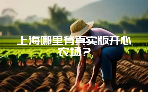 上海哪里有真实版开心农场？-会东网