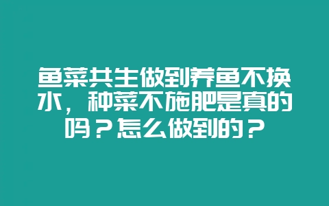 鱼菜共生做到养鱼不换水，种菜不施肥是真的吗？怎么做到的？-会东网