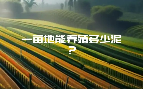 一亩地能养殖多少泥鳅？-会东网
