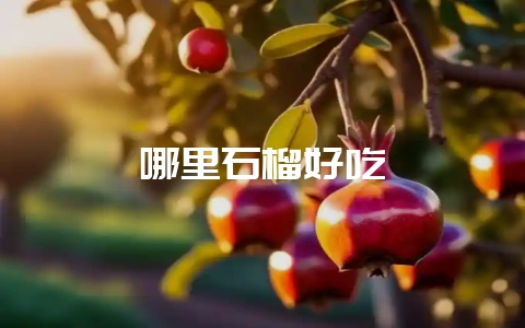 哪里石榴好吃-会东网