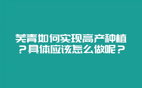 芜青如何实现高产种植？具体应该怎么做呢？-会东网