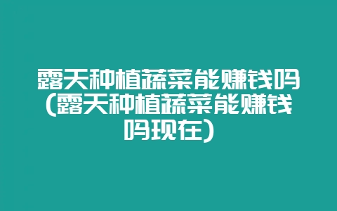露天种植蔬菜能赚钱吗(露天种植蔬菜能赚钱吗现在)插图 露天种植蔬菜能赚钱吗(露天种植蔬菜能赚钱吗现在)插图