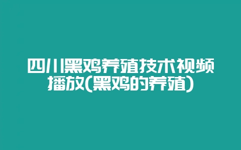 四川黑鸡养殖技术视频播放(黑鸡的养殖)-会东网