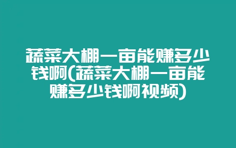 蔬菜大棚一亩能赚多少钱啊(蔬菜大棚一亩能赚多少钱啊视频)插图 蔬菜大棚一亩能赚多少钱啊(蔬菜大棚一亩能赚多少钱啊视频)插图