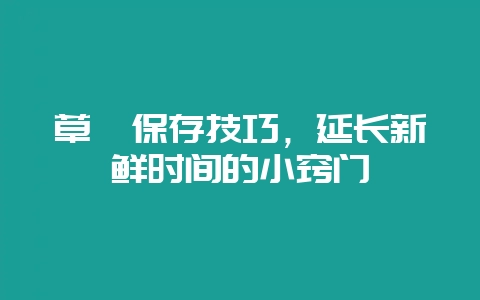 草莓保存技巧，延长新鲜时间的小窍门-会东网