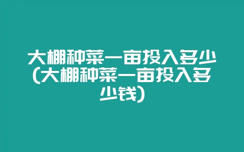 大棚种菜一亩投入多少(大棚种菜一亩投入多少钱)-会东网