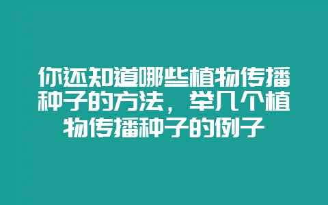 你还知道哪些植物传播种子的方法，举几个植物传播种子的例子-会东网