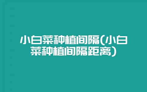 小白菜种植间隔(小白菜种植间隔距离)-会东网