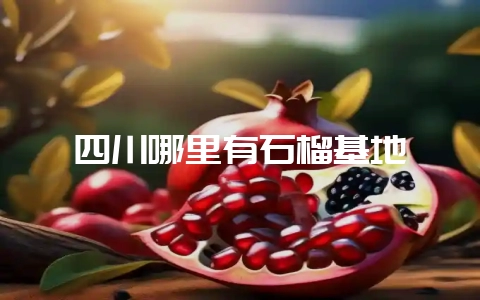 四川哪里有石榴基地-会东网