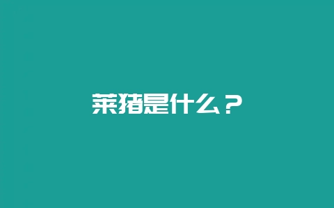 莱猪是什么?插图 莱猪是什么?插图