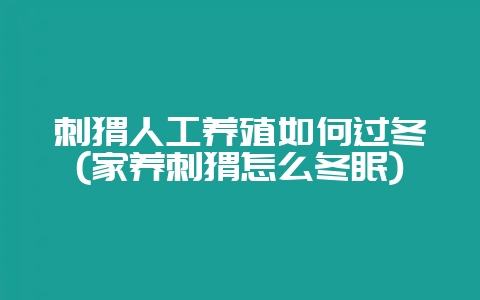 刺猬人工养殖如何过冬(家养刺猬怎么冬眠)-会东网