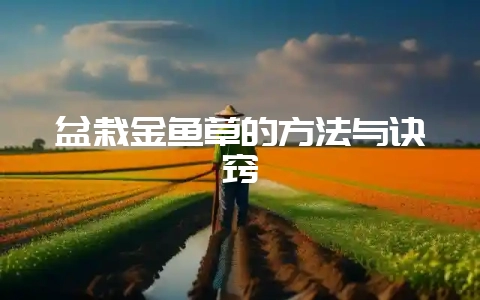 盆栽金鱼草的方法与诀窍插图 盆栽金鱼草的方法与诀窍插图
