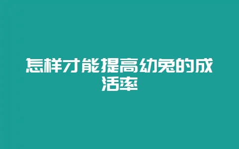 怎样才能提高幼兔的成活率-会东网