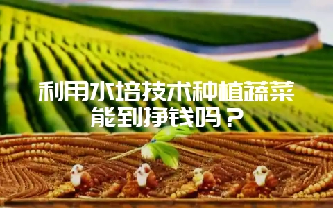 利用水培技术种植蔬菜能到挣钱吗？-会东网