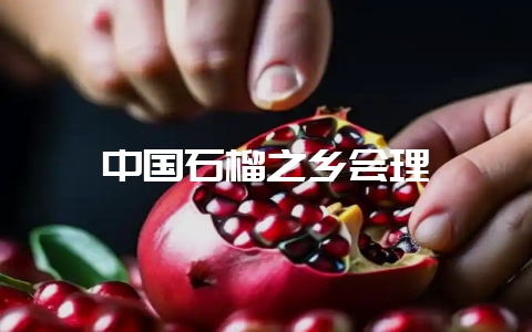 中国石榴之乡会理-会东网