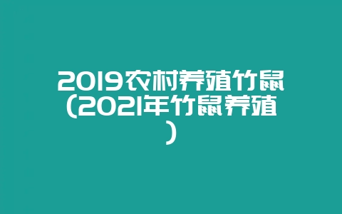 2019农村养殖竹鼠(2021年竹鼠养殖)-会东网