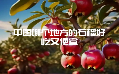 中国哪个地方的石榴好吃又便宜-会东网
