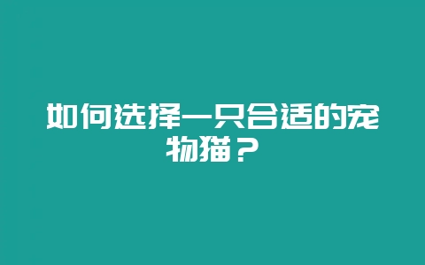 如何选择一只合适的宠物猫?插图 如何选择一只合适的宠物猫?插图