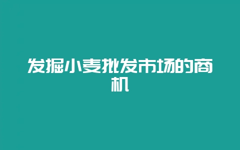 发掘小麦批发市场的商机插图 发掘小麦批发市场的商机插图