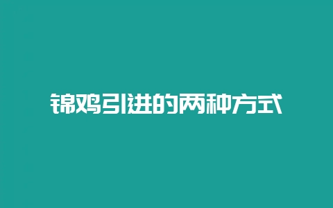 锦鸡引进的两种方式-会东网