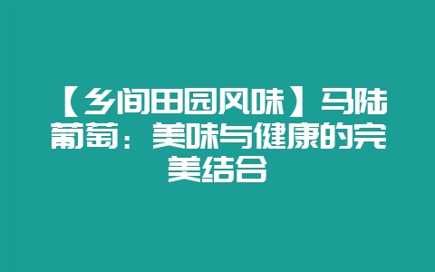 【乡间田园风味】马陆葡萄：美味与健康的完美结合-会东网